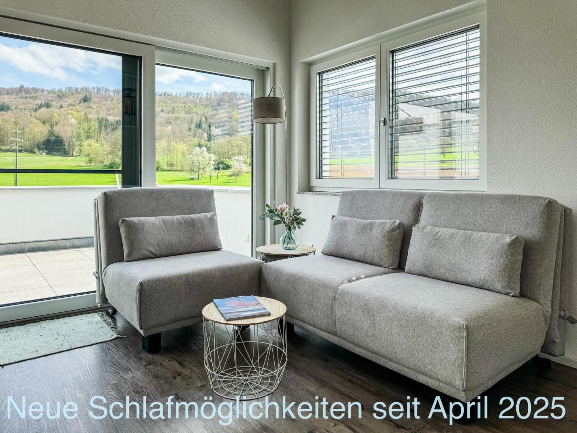 Wunderschoene Helle Wohnung Mit Grosser Dachterrasse Gottmadingen Bagian luar foto