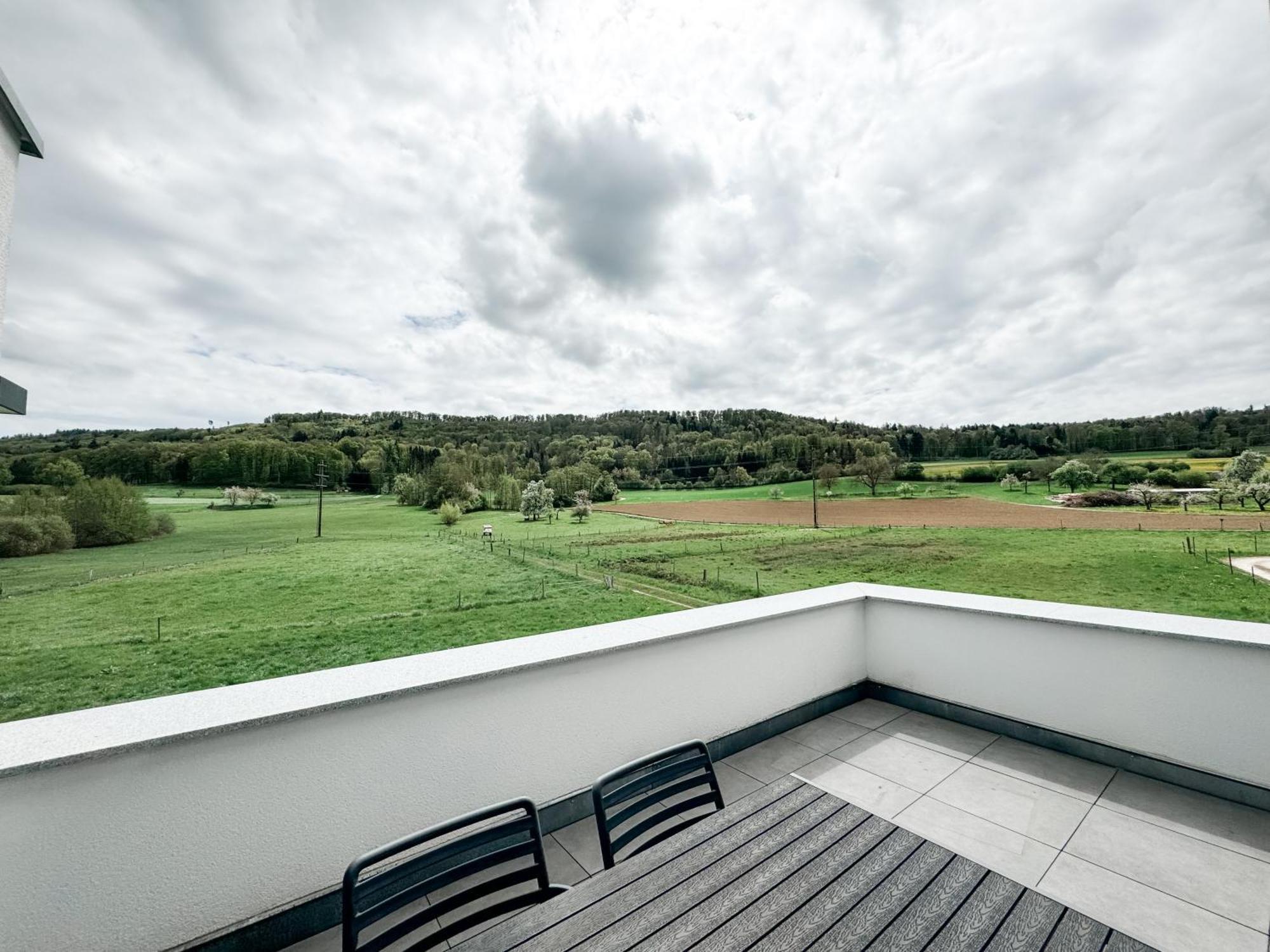 Wunderschoene Helle Wohnung Mit Grosser Dachterrasse Gottmadingen Bagian luar foto
